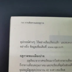 ปาย ปลายพู่กันจากปลายฟ้า - ผลิตะวัน รูปที่ 17