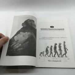 ปวดหลังหายได้ด้วยธรรมชาติบำบัด - พฐ.ลลิตา ธีระสิริ รูปที่ 10
