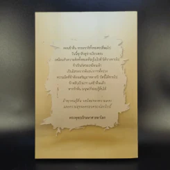 กลับสู่สภาพตื่นรู้ล้วนๆ - Camouflage รูปที่ 2