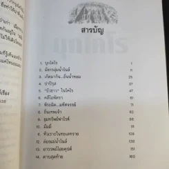 บุกไคโร - ณรงค์ จันทร์เรือง รูปที่ 11