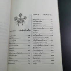 ม้าก้านกล้วย - ไพวรินทร์ ขาวงาม รูปที่ 14