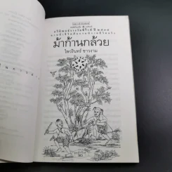 ม้าก้านกล้วย - ไพวรินทร์ ขาวงาม รูปที่ 9