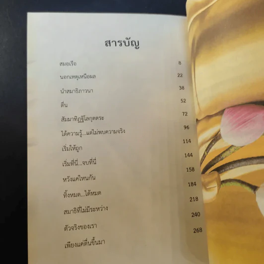 กลับสู่สภาพตื่นรู้ล้วนๆ - Camouflage รูปที่ 9
