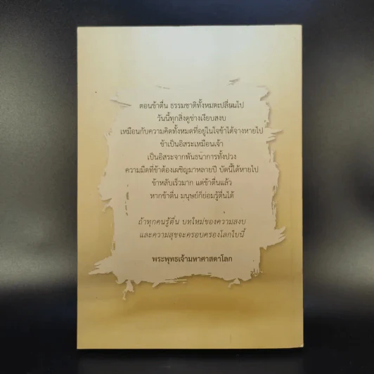 กลับสู่สภาพตื่นรู้ล้วนๆ - Camouflage รูปที่ 2