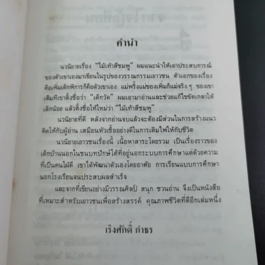 ไม้เท้าสีชมพู - ไพบูลย์ รูปที่ 9
