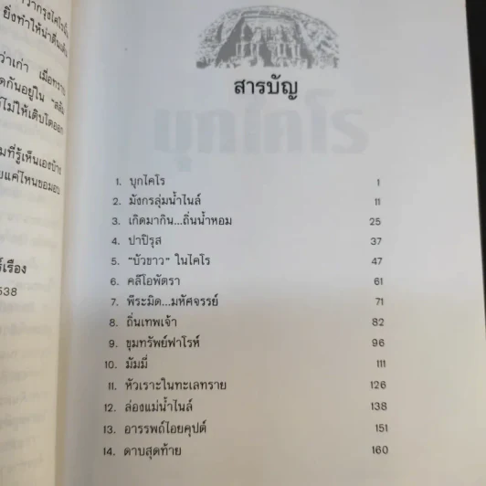 บุกไคโร - ณรงค์ จันทร์เรือง รูปที่ 11