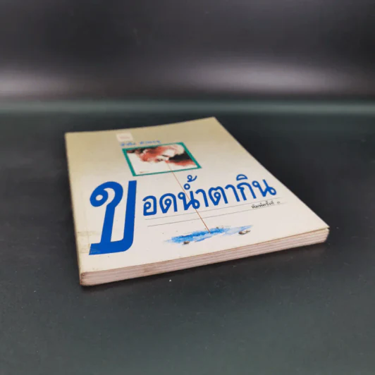 ขอดน้ำตากิน - สำเริง คำพะอุ รูปที่ 4