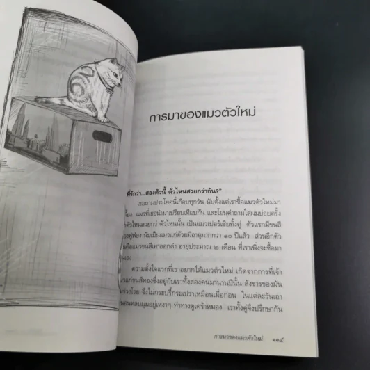 วีรชน/คนบ้า/นักล่าเงา - เชตวัน เตือประโคน รูปที่ 18