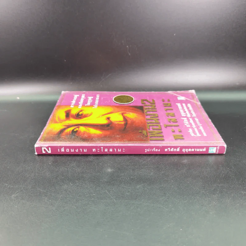เพื่อนงาม 2 ติช นัท ฮันห์ - ทวีศักดิ์ อุชุคตานนท์ (ผู้แต่งเพลงดั่งดอกไม้บาน) รูปที่ 3