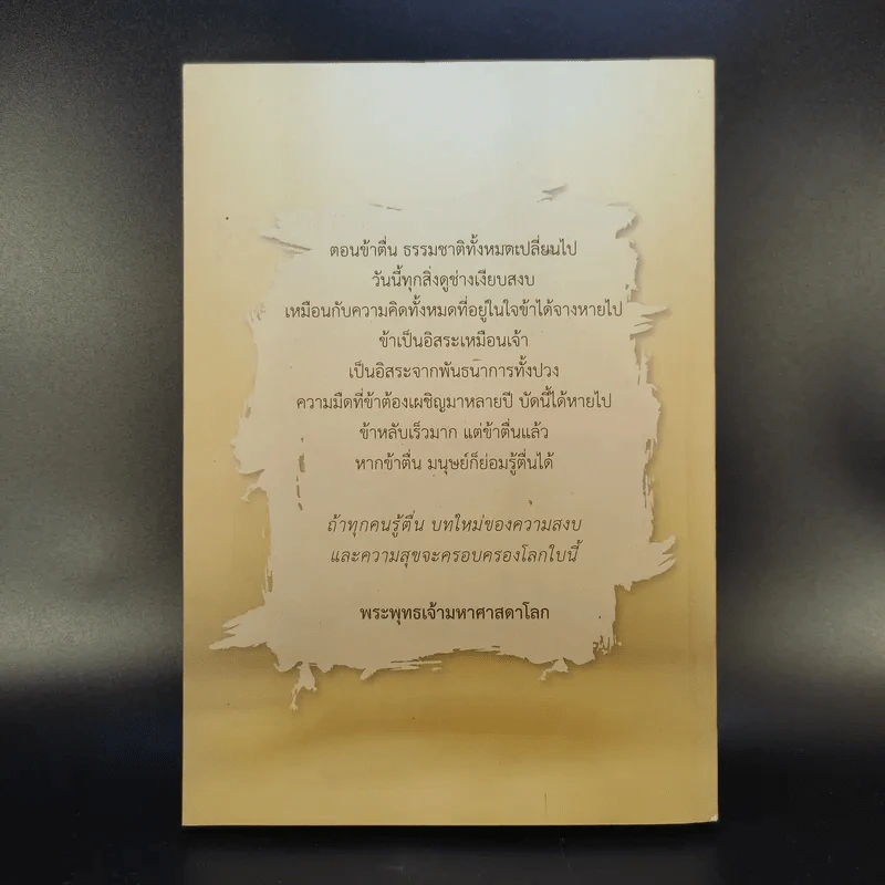 กลับสู่สภาพตื่นรู้ล้วนๆ - Camouflage รูปที่ 2