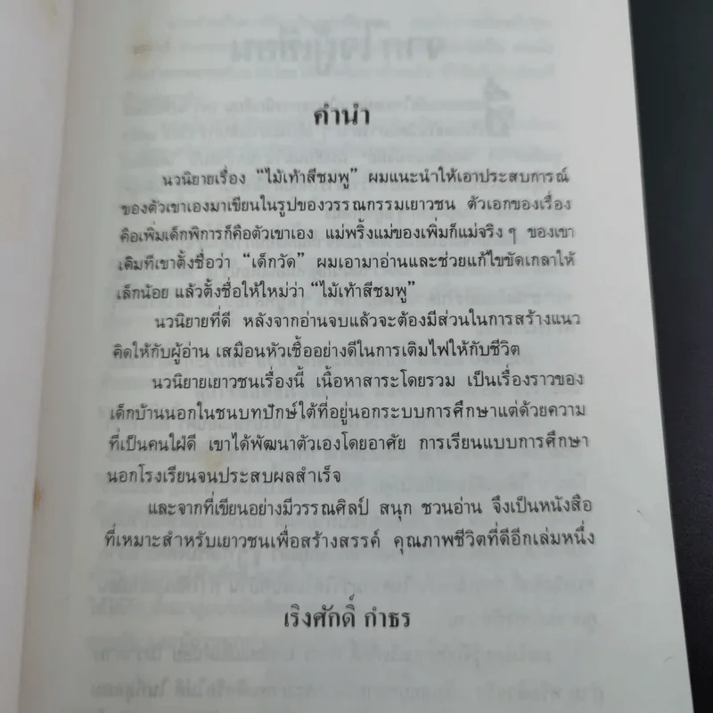 ไม้เท้าสีชมพู - ไพบูลย์ รูปที่ 9