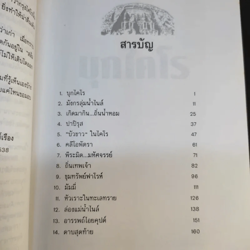 บุกไคโร - ณรงค์ จันทร์เรือง รูปที่ 11