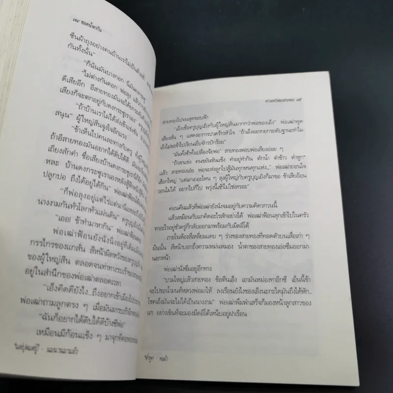 ขอดน้ำตากิน - สำเริง คำพะอุ รูปที่ 13