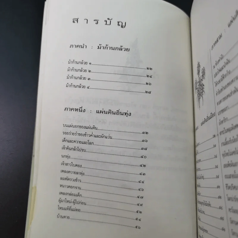 ม้าก้านกล้วย - ไพวรินทร์ ขาวงาม รูปที่ 13