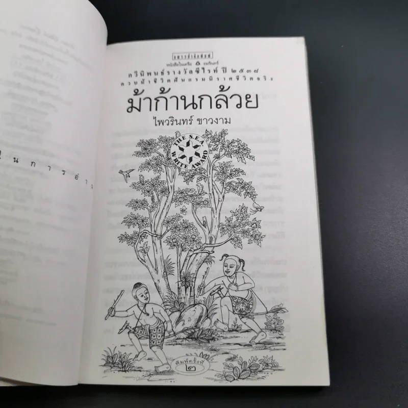 ม้าก้านกล้วย - ไพวรินทร์ ขาวงาม รูปที่ 9
