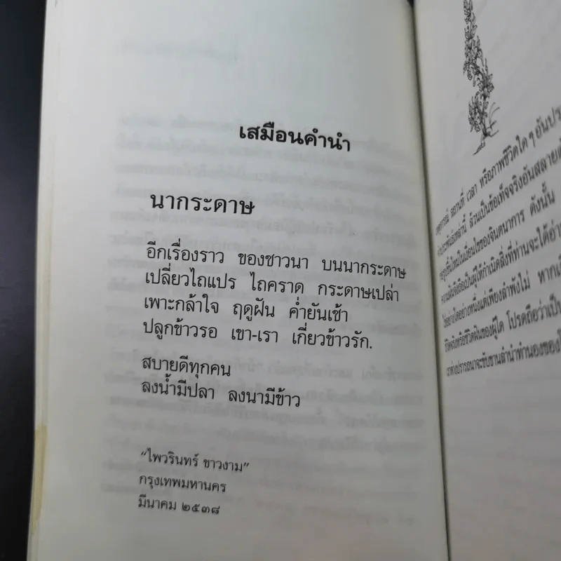 ม้าก้านกล้วย - ไพวรินทร์ ขาวงาม รูปที่ 12