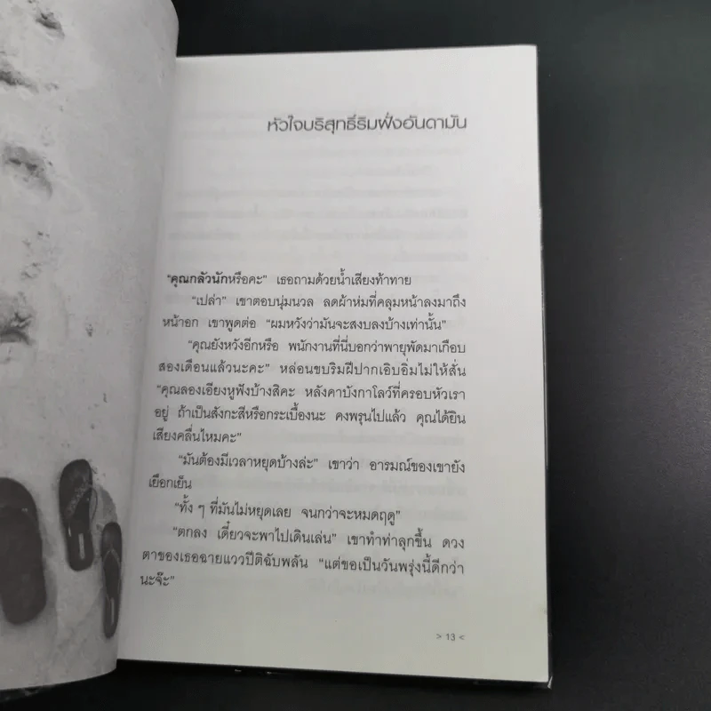 รวมเรื่องสั้นสีของหมา - จำลอง ฝั่งชลจิตร รูปที่ 13
