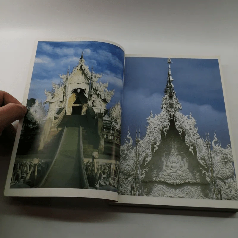 ไม่ธรรมดา - เฉลิมชัย โฆษิตพิพัฒน์ รูปที่ 10