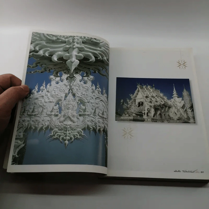 ไม่ธรรมดา - เฉลิมชัย โฆษิตพิพัฒน์ รูปที่ 12
