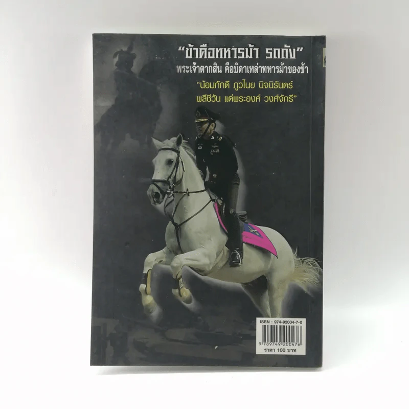 คมเสธแดง ภาค 3 ตอน กองพันถูกปล้น แผ่นดินใต้ลุกเป็นไฟ - ยะ ยี่เอ๋ง รูปที่ 15