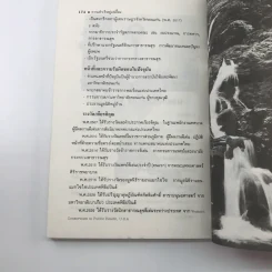ความสำเร็จอยู่แค่เอื้อม - กระแส ชนะวงศ์ รูปที่ 12