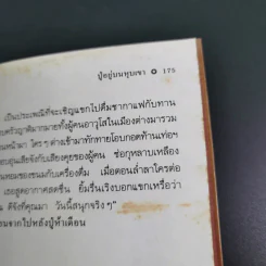 บันทึกผู้หญิงตะวันออก - อารยา ราษฏร์จำเริญสุข รูปที่ 14