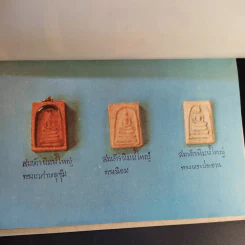 หลวงปู่ทอง วัดราชโยธา (วัดลาดบัวขาว) อายุ 117 ปี รูปที่ 9