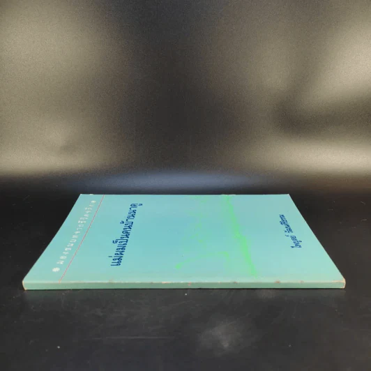 แม่ผมเป็นคนบ้านนาคู - ไพบูลย์ วัฒนศิริธรรม รูปที่ 3