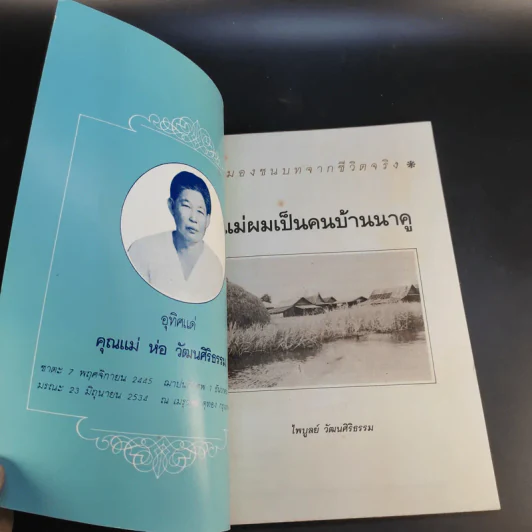 แม่ผมเป็นคนบ้านนาคู - ไพบูลย์ วัฒนศิริธรรม รูปที่ 8
