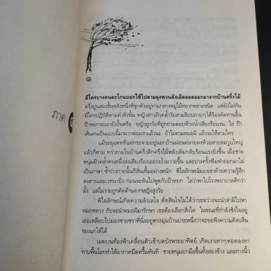มรสุม - ฉมังฉาย รูปที่ 11
