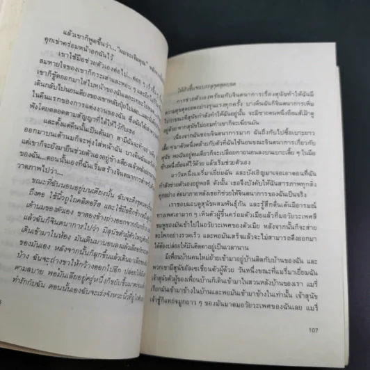 ในสวนสวรรค์แห่งจินตนาการ - นพดล แปล รูปที่ 13