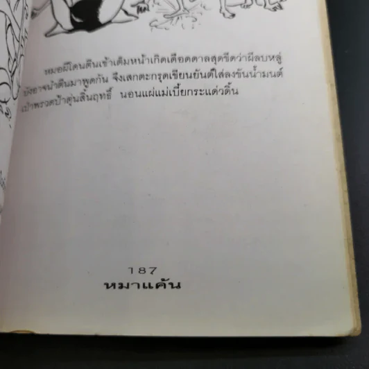 ชุดหมาแค้น - พ.อ.สัญญา คล้ายจินดา รูปที่ 16