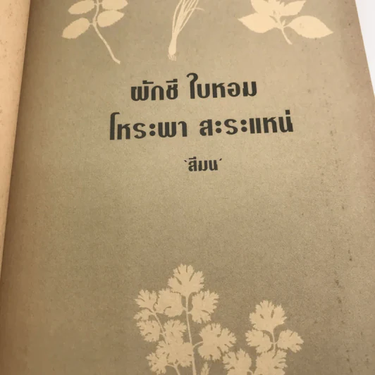 ผีกชี ใบหอม โหระพา สะระแหน่ - สีมน รูปที่ 11