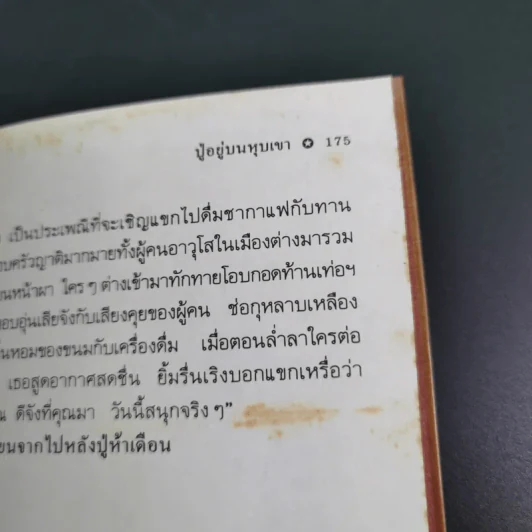 บันทึกผู้หญิงตะวันออก - อารยา ราษฏร์จำเริญสุข รูปที่ 14