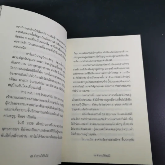 คำถามใต้ร่มไม้ - สายพิณ กุลกนกวรรณ ฮัมดานี รูปที่ 13