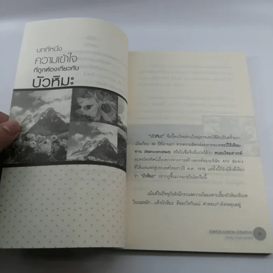 บัวหิมะทิเบต (นมหมัก คีเฟอร์) - กฤษฎา กฤษณะเศรณี รูปที่ 11