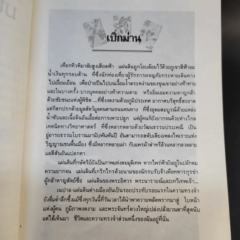 มนตราหิมาลัย - อรสม สุทธิสาคร รูปที่ 13