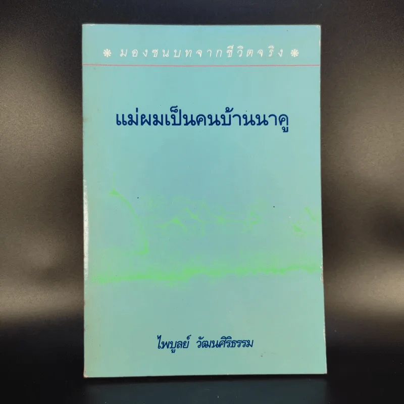 แม่ผมเป็นคนบ้านนาคู - ไพบูลย์ วัฒนศิริธรรม รูปที่ 1