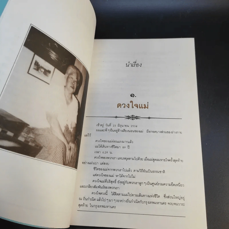 แม่ผมเป็นคนบ้านนาคู - ไพบูลย์ วัฒนศิริธรรม รูปที่ 10