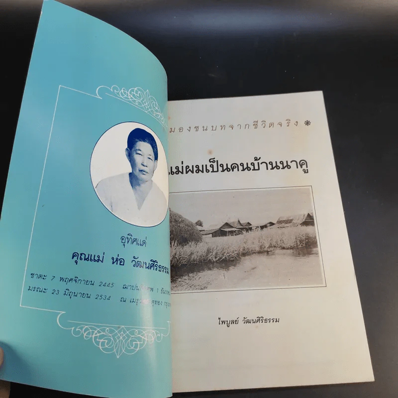 แม่ผมเป็นคนบ้านนาคู - ไพบูลย์ วัฒนศิริธรรม รูปที่ 8