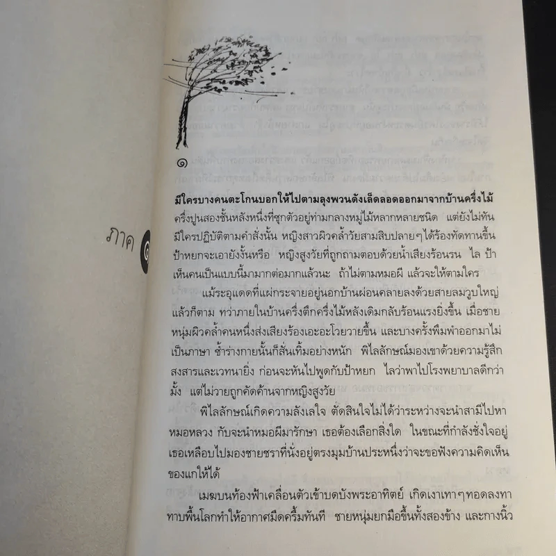 มรสุม - ฉมังฉาย รูปที่ 11