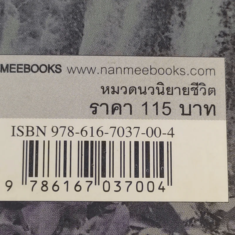 มรสุม - ฉมังฉาย รูปที่ 13