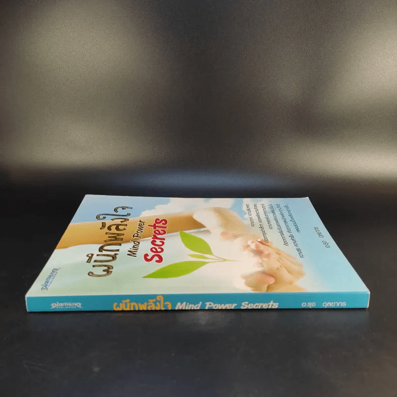 ผนึกพลังใจ Mind Power Secrets - อ.รุจ ดุลยากร รูปที่ 3