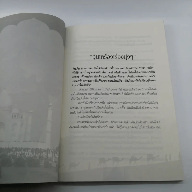 ตะลุยเมืองแขก แหวกส่าหรี - กาญจนา หงษ์ทอง รูปที่ 11