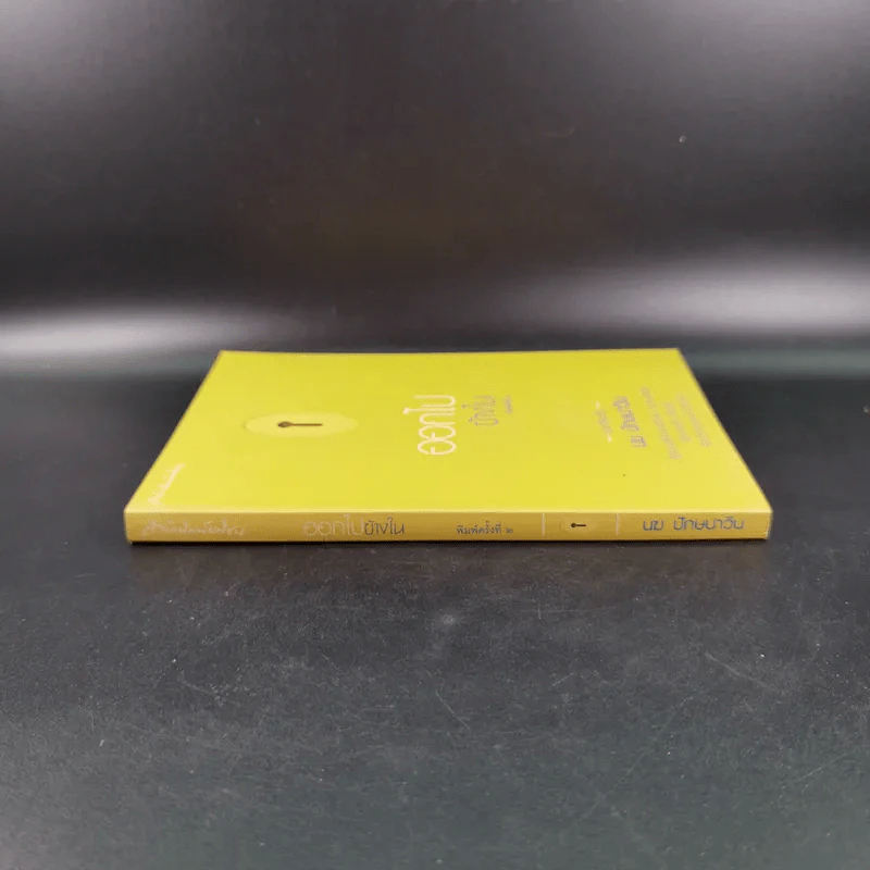 ออกไปข้างใน - นฆ ปักษนาวิน รูปที่ 4