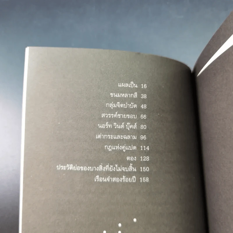 ออกไปข้างใน - นฆ ปักษนาวิน รูปที่ 15