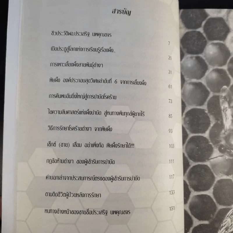 ผึ้งบำบัด พิษต้านพิษ เหล็กในพิชิตโรค - ประเสริฐ นพคุณขจร รูปที่ 10