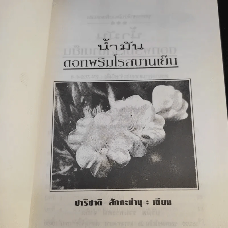 น้ำมัน ดอกพริมโรสบานเย็น - ปาริชาติ สักกะทำนุ รูปที่ 9