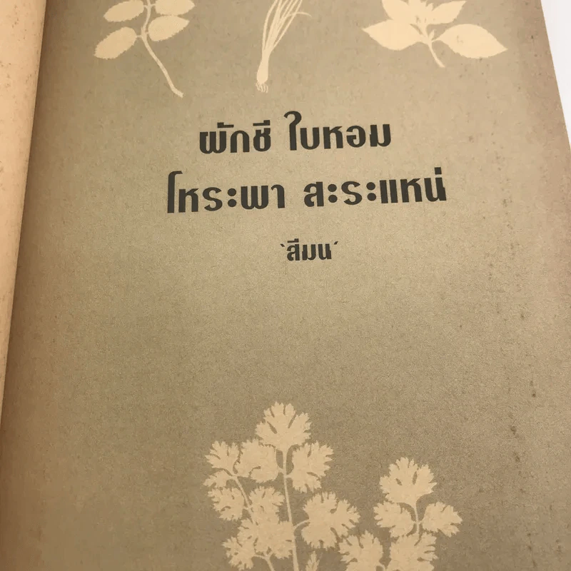 ผีกชี ใบหอม โหระพา สะระแหน่ - สีมน รูปที่ 11