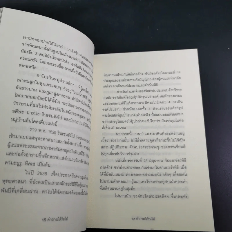 คำถามใต้ร่มไม้ - สายพิณ กุลกนกวรรณ ฮัมดานี รูปที่ 13